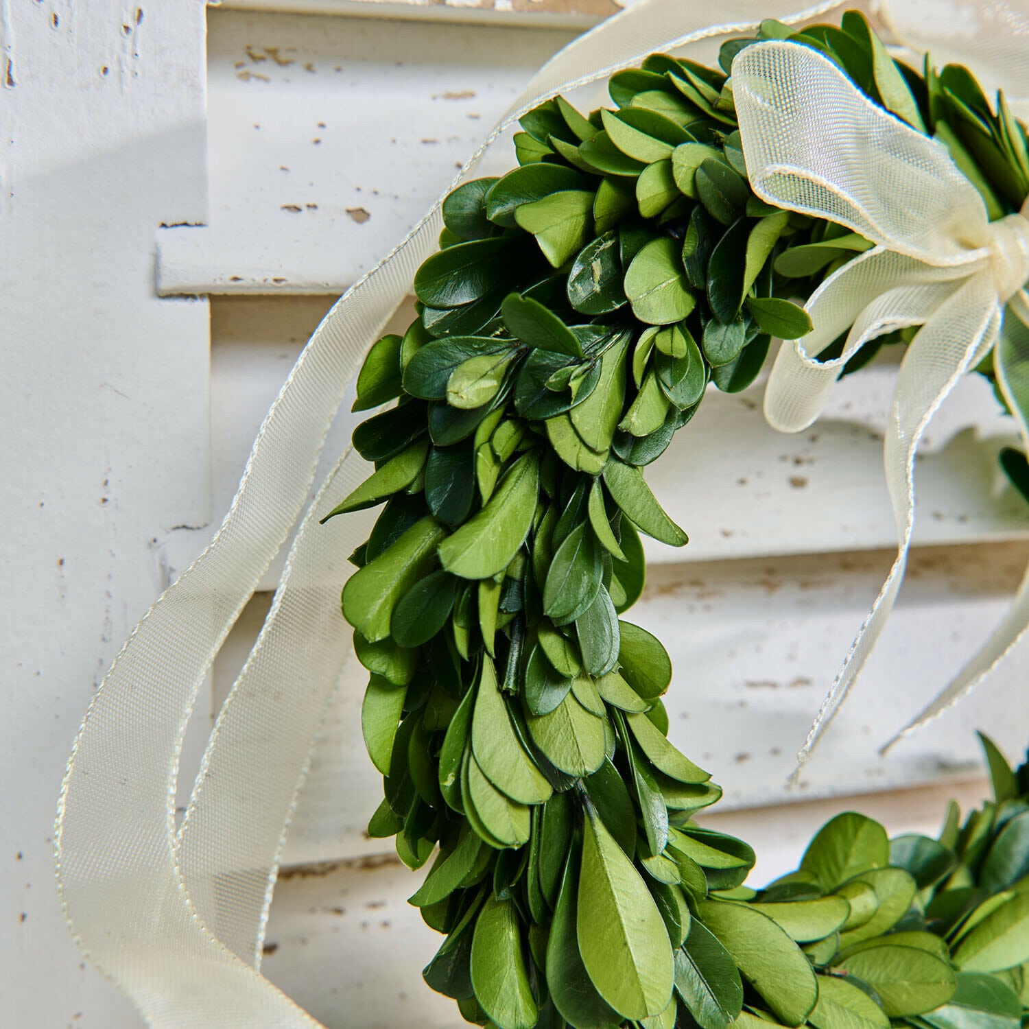 Kranz 3er Set Islene