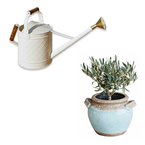 Weiße Metall-Gießkanne mit Holzgriff und blauer Keramiktopf mit Pflanze für Garten