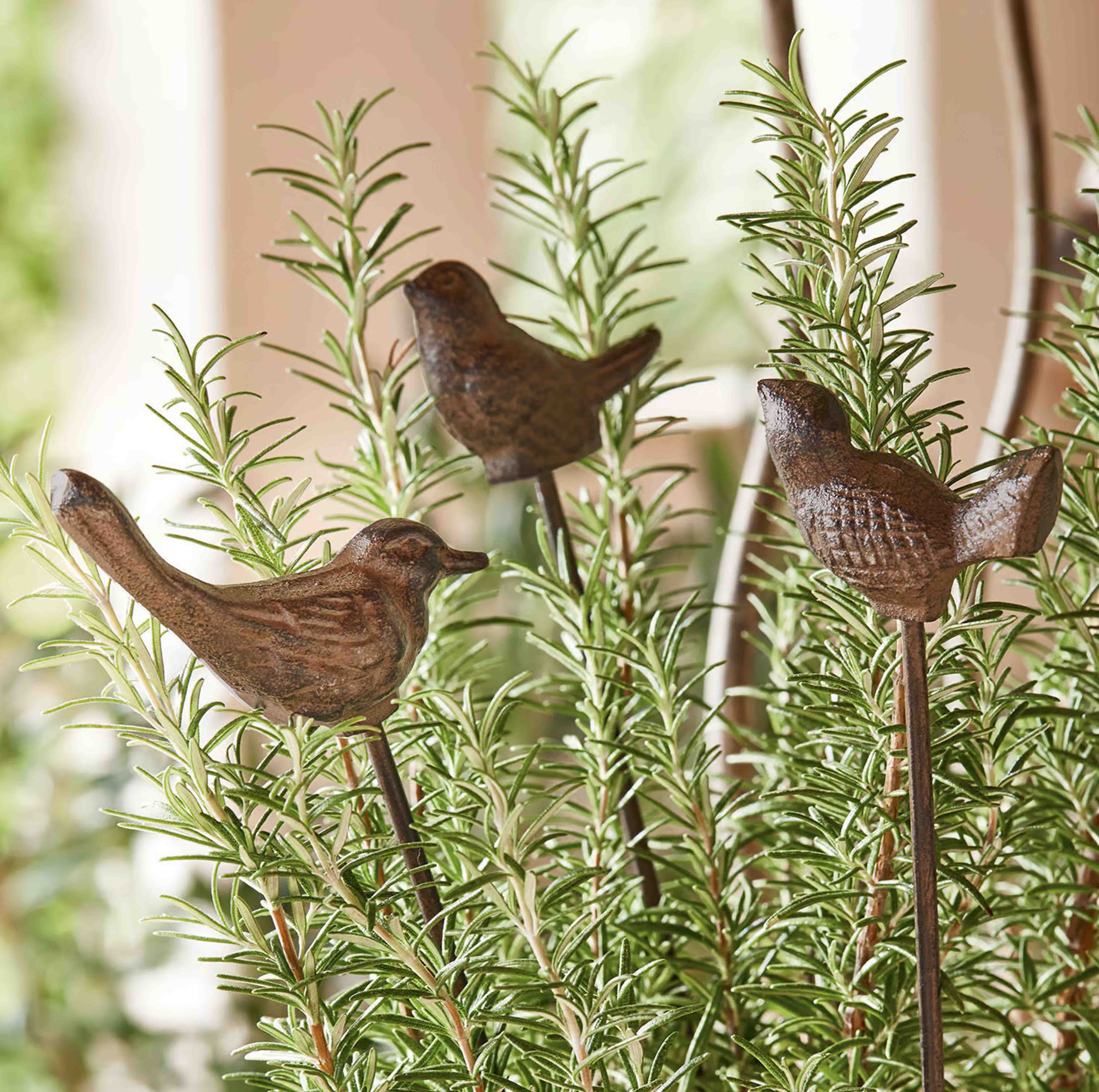 Dekorative Metallvögel auf Stäben zwischen grünen Rosmarinzweigen für Garten und Zuhause