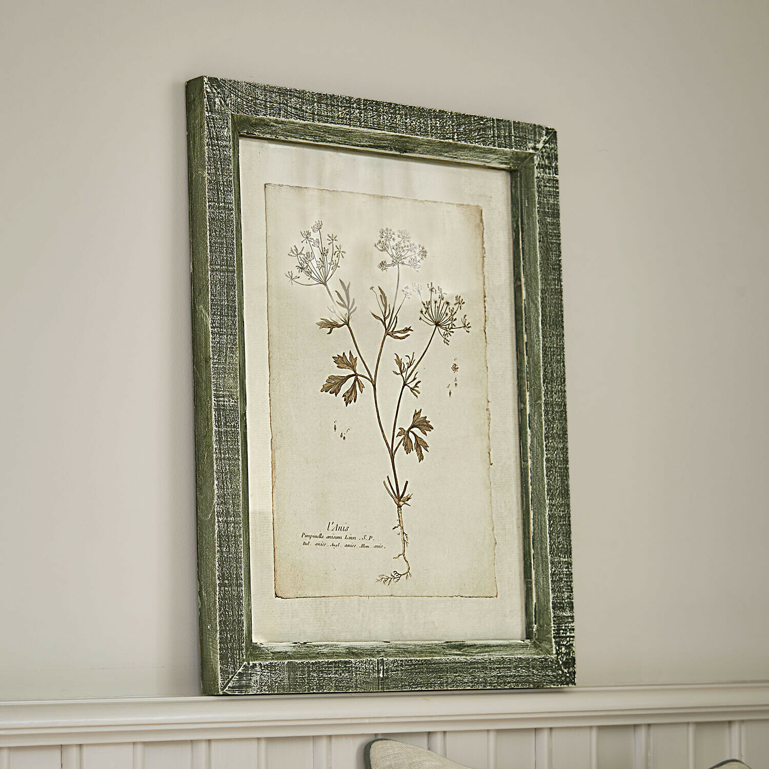 Botanisches Bild mit grünem Holzrahmen und Pflanzenzeichnung auf beigem Hintergrund zur Wanddekoration