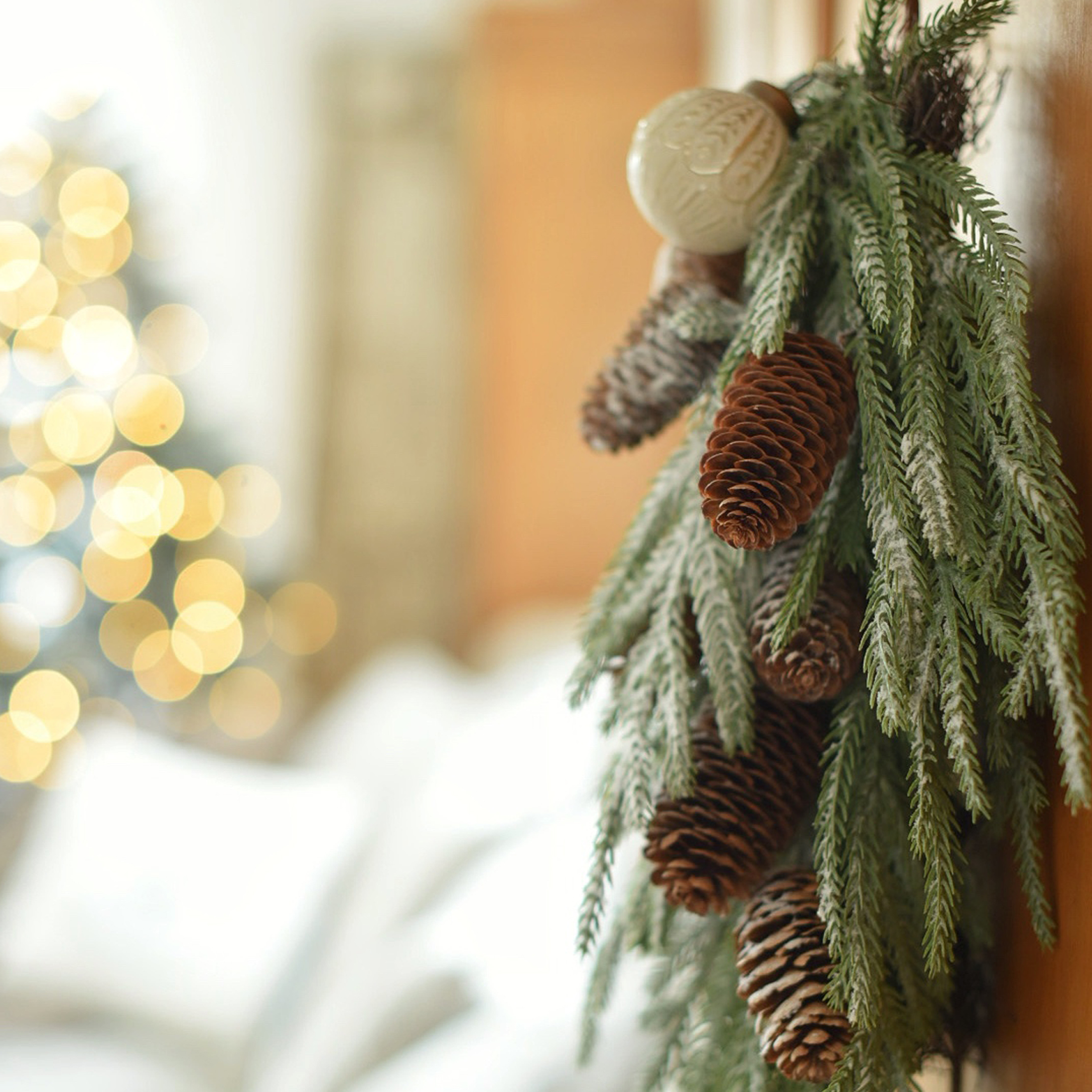 Weihnachtsdekoration mit grünen Zweigen und braunen Zapfen vor unscharfem Lichterhintergrund