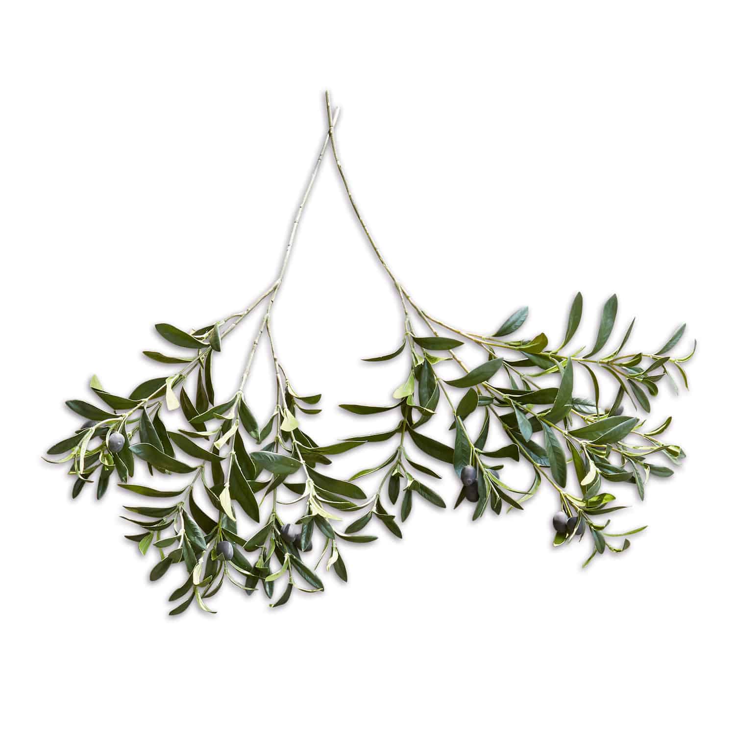 Deko-Olivenzweig 2er Set Olives Olivenzweige mit grünen Blättern und schwarzen Oliven auf weißem Hintergrund, natürliche Dekoration