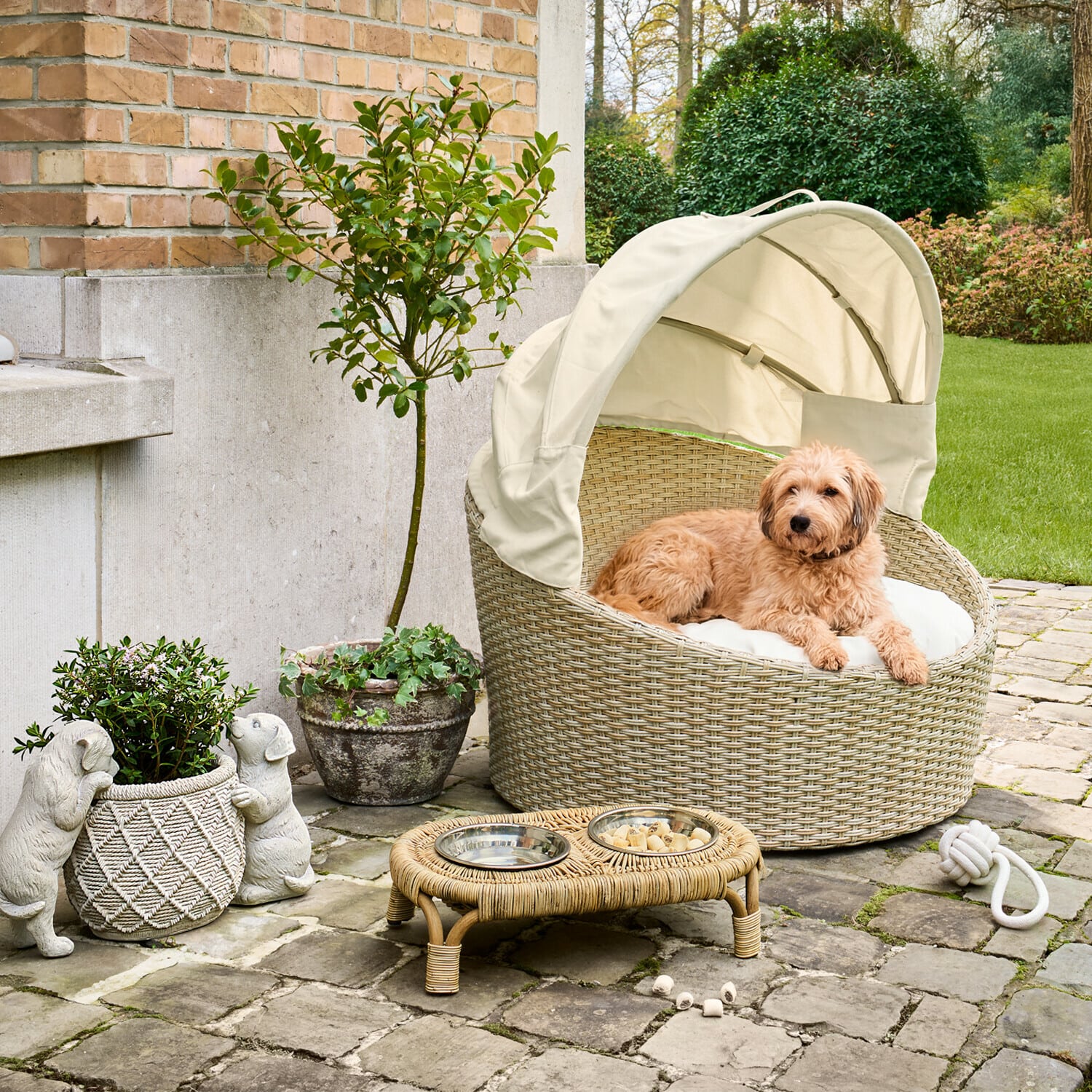 Futternapf mit Halterung Petivas