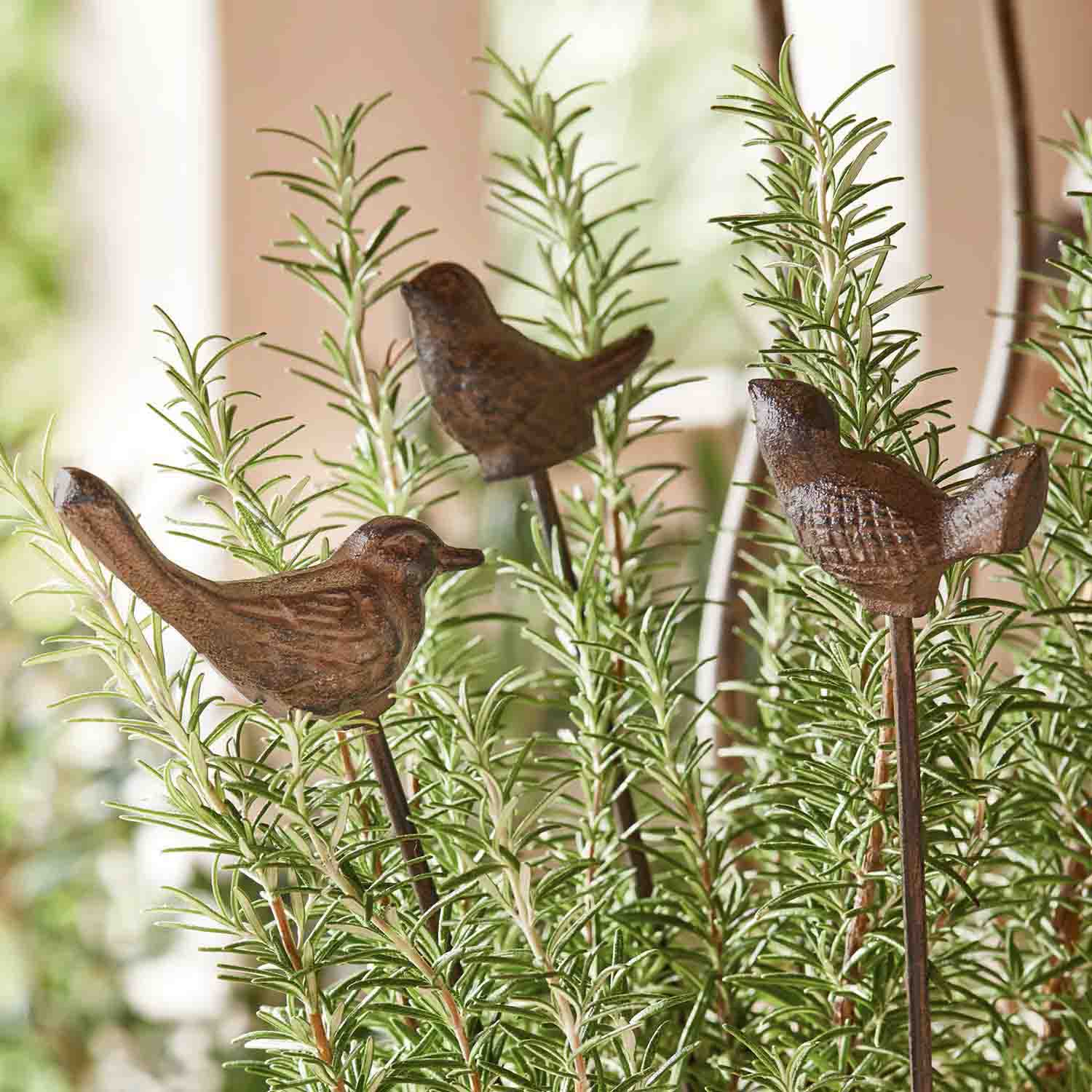 Dekorative braune Metallvögel auf Stäben zwischen grünen Rosmarinzweigen im Topf