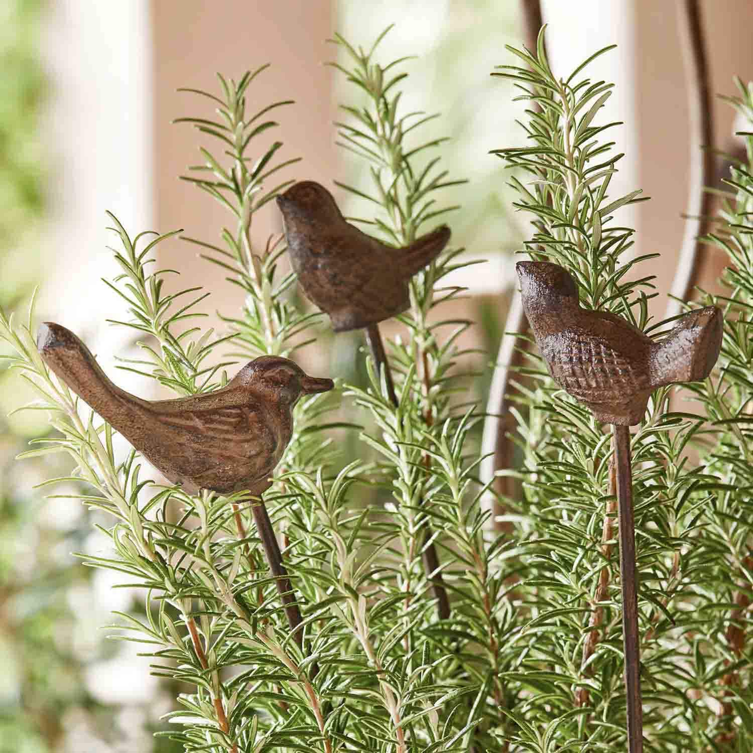 Dekorative braune Metallvögel auf Stäben zwischen grünen Rosmarinzweigen im Topf
