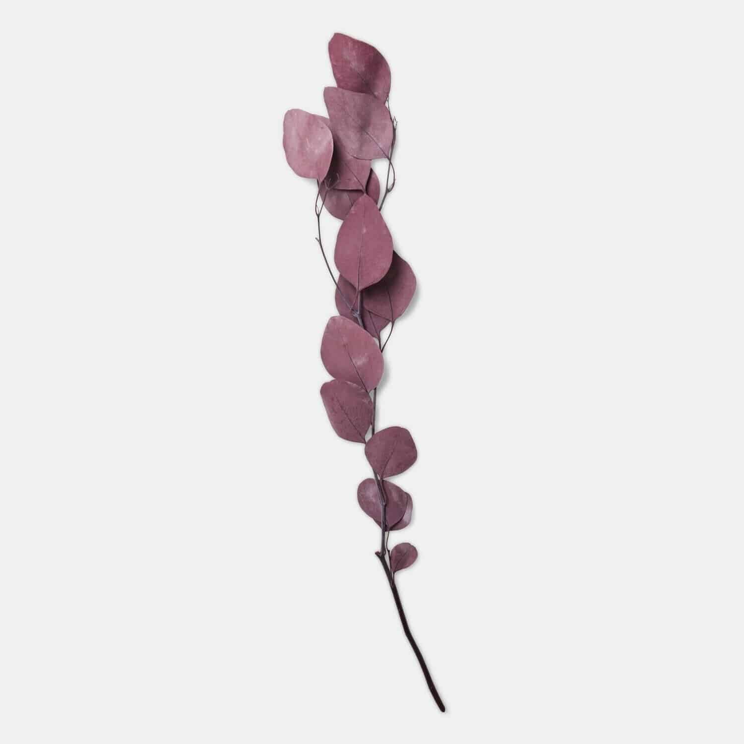 Kunstblume Eukalyptus Ianthee