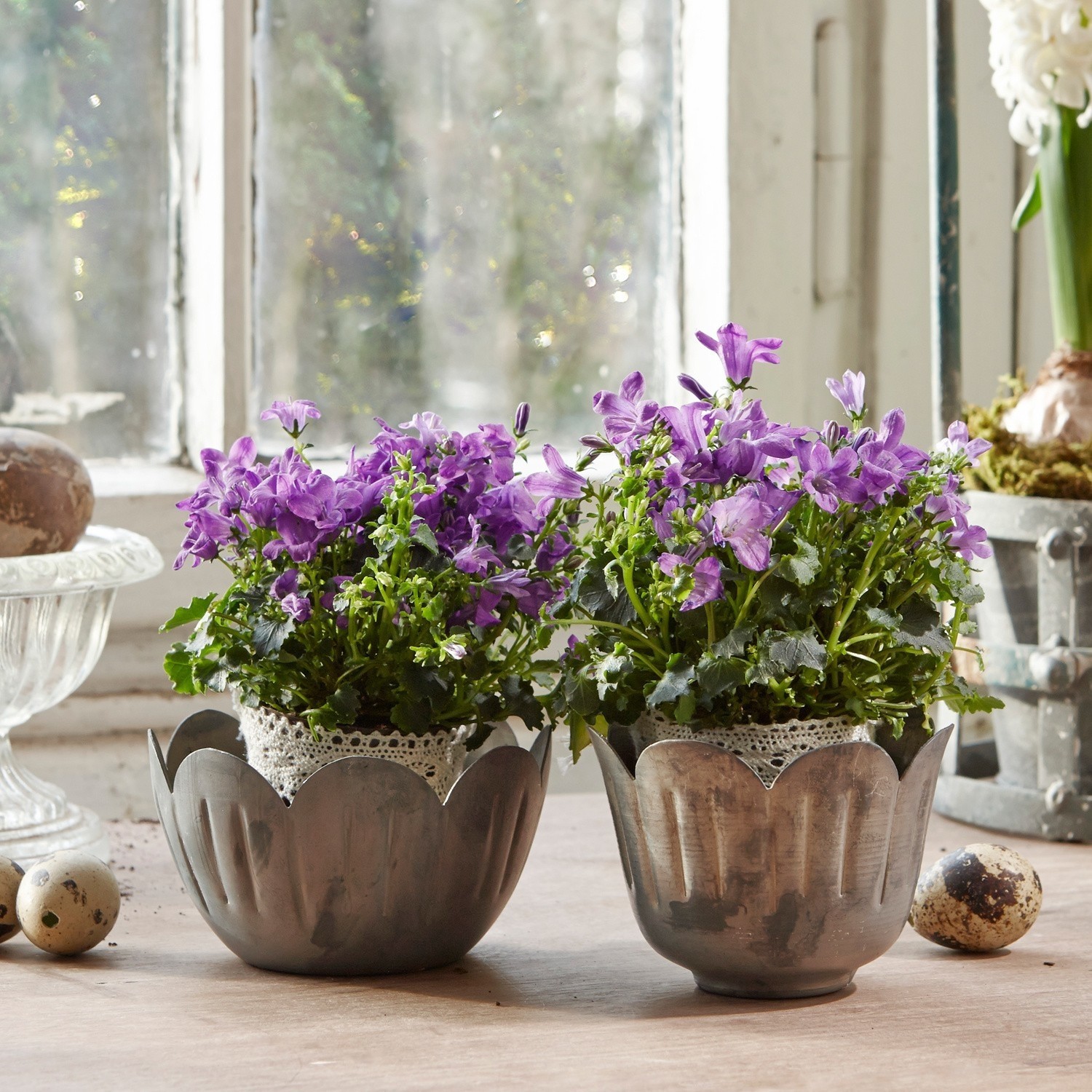 Vasen 2er Set Tulip