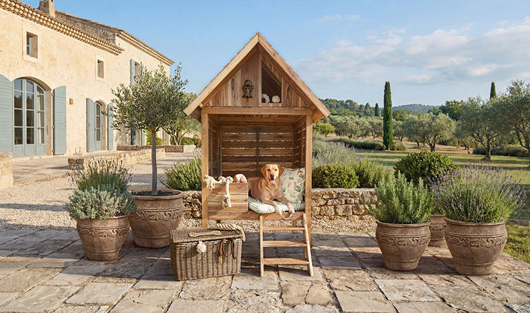 Landpartie für Vierbeiner