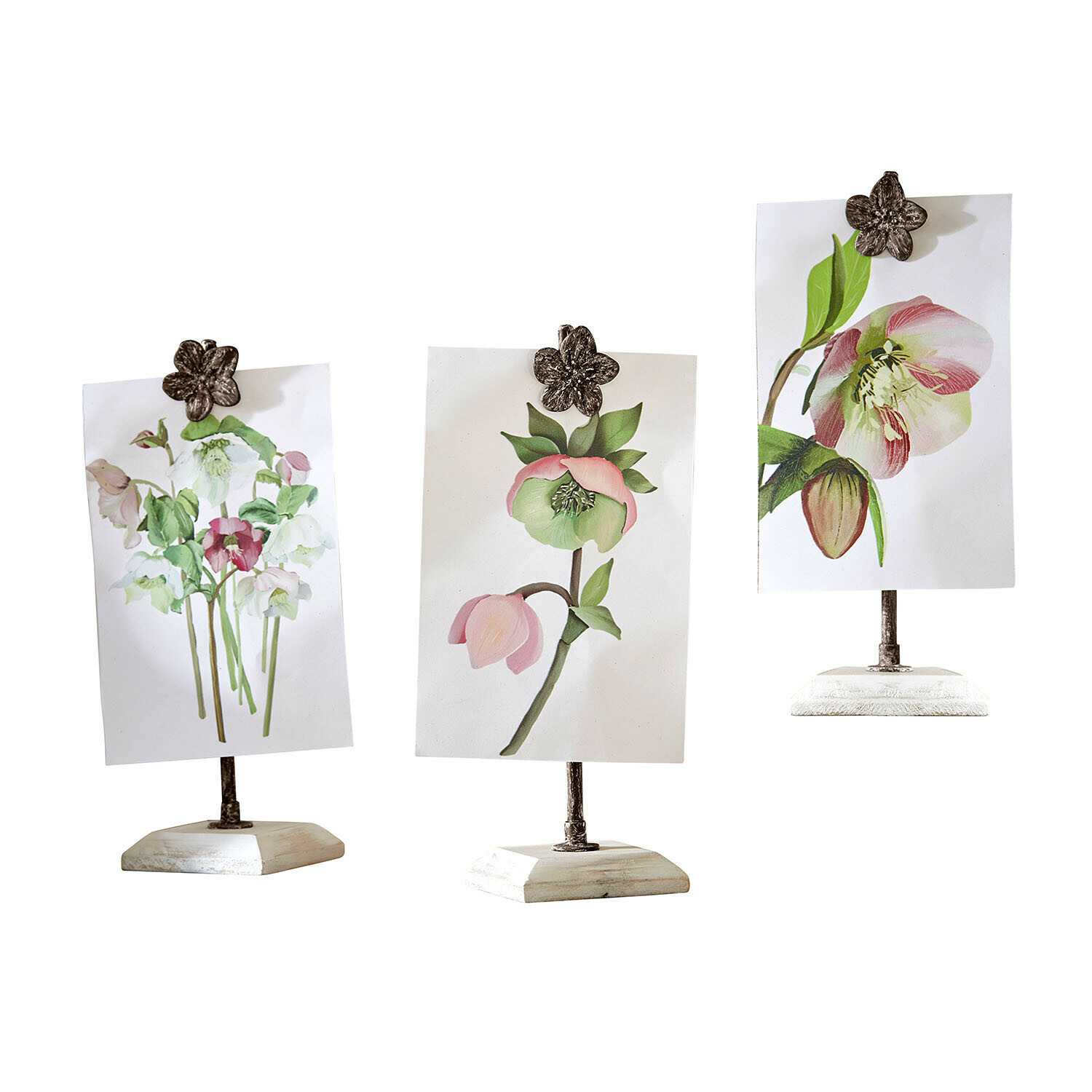 Bild mit Halterung 3er Set Serafinas Drei Ständer mit blumenförmigen Klammern auf weißen Sockeln mit Blumenillustrationen