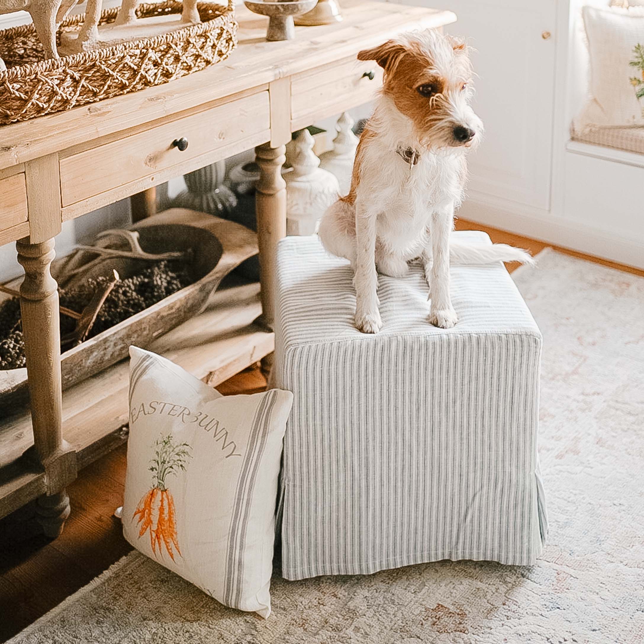 Gestreifter Stoffhocker in Weiß und Grau mit Hund und dekorativem Kissen mit Karottenmotiv