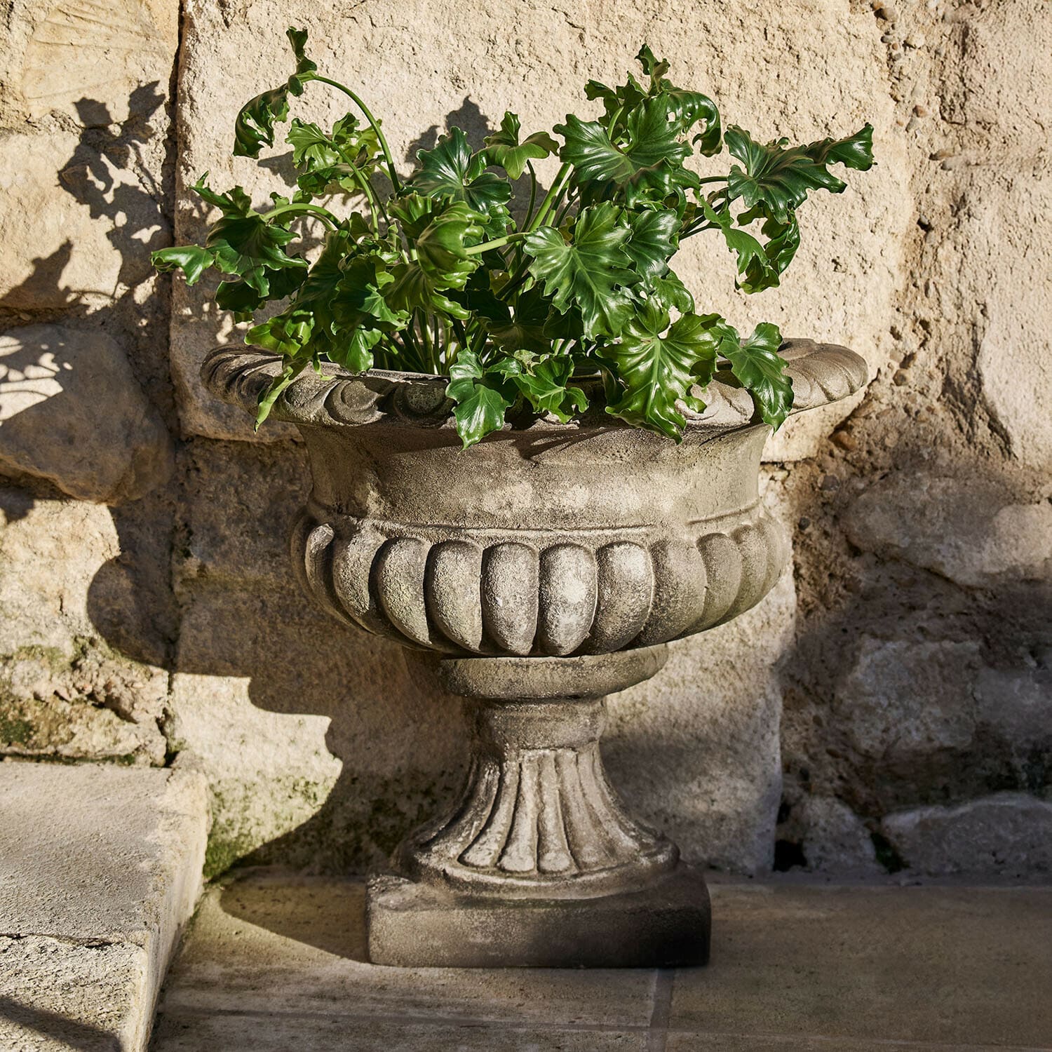 Amphore Navrelle Dekorativer grauer Steintopf mit grünen Blättern vor einer Steinmauer