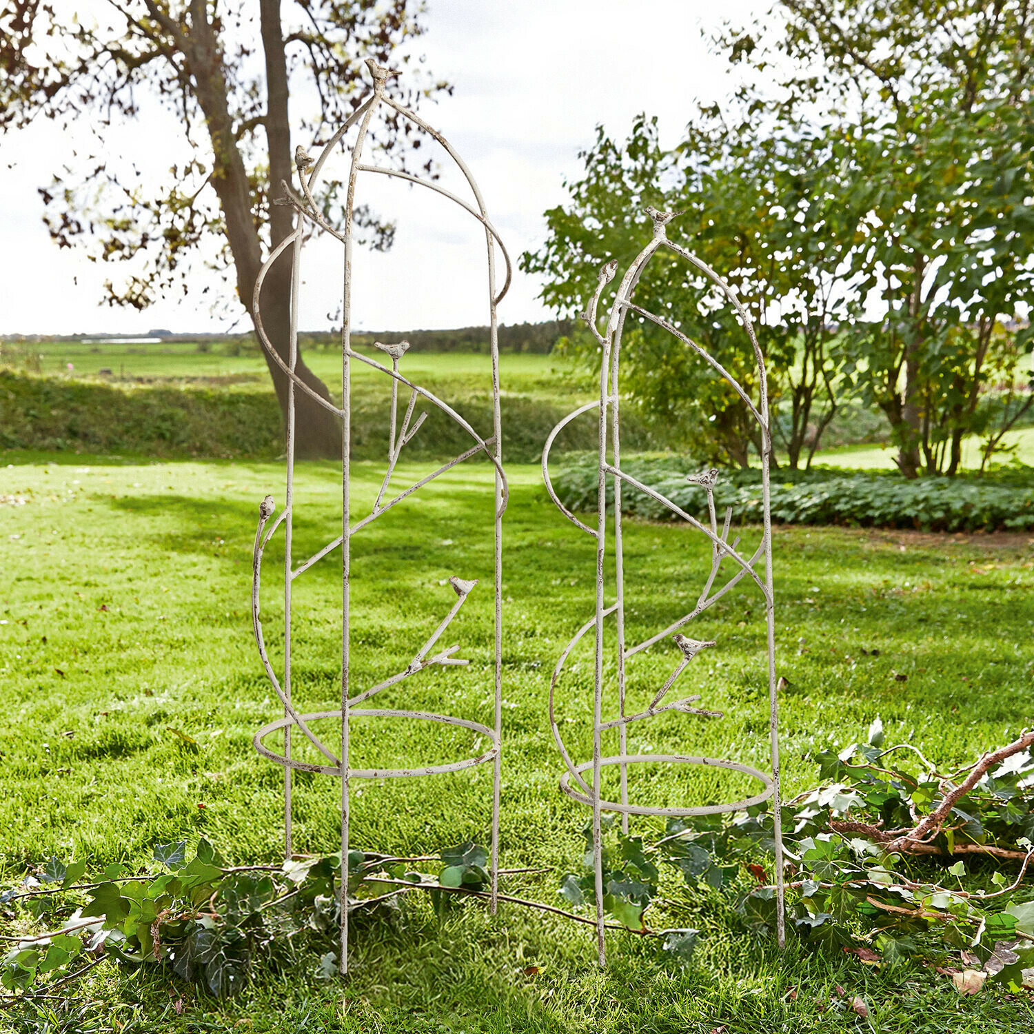 Weiße Metall-Gartenpergola mit Vogelverzierung, ideal als Rankhilfe für Kletterpflanzen