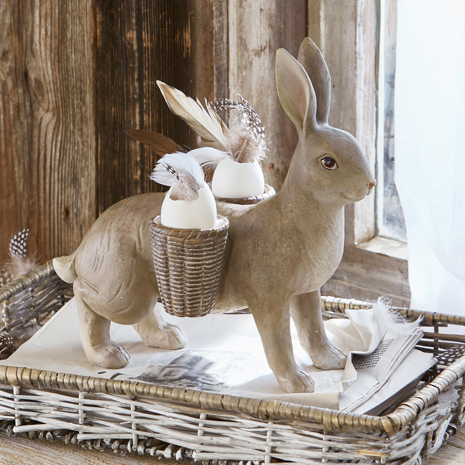 Hase Helenia