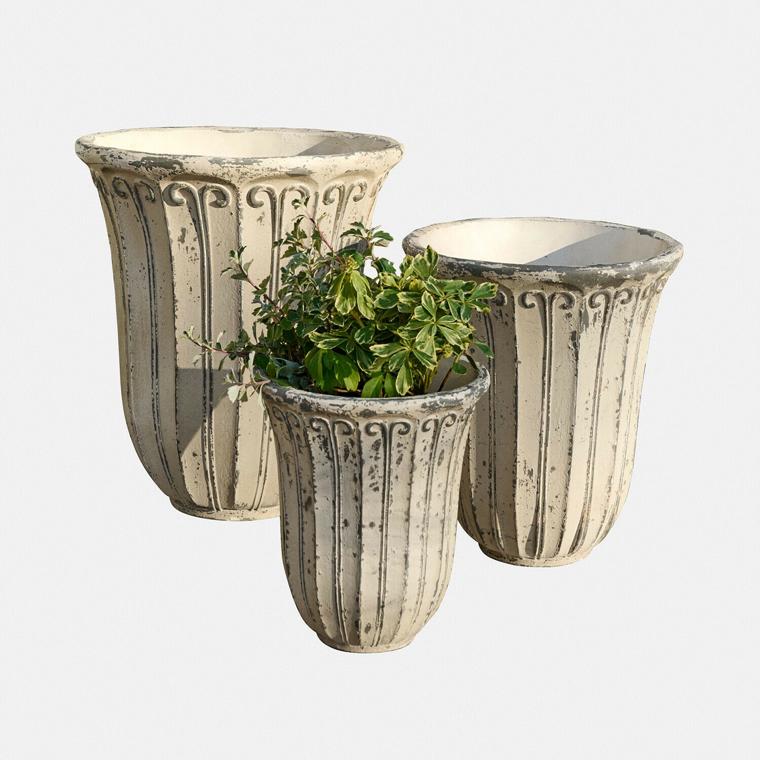 Übertopf 3er Set Méravon Set aus drei cremefarbenen, antik wirkenden Pflanzgefäßen mit Grünpflanze, Garten-Deko aus Zement