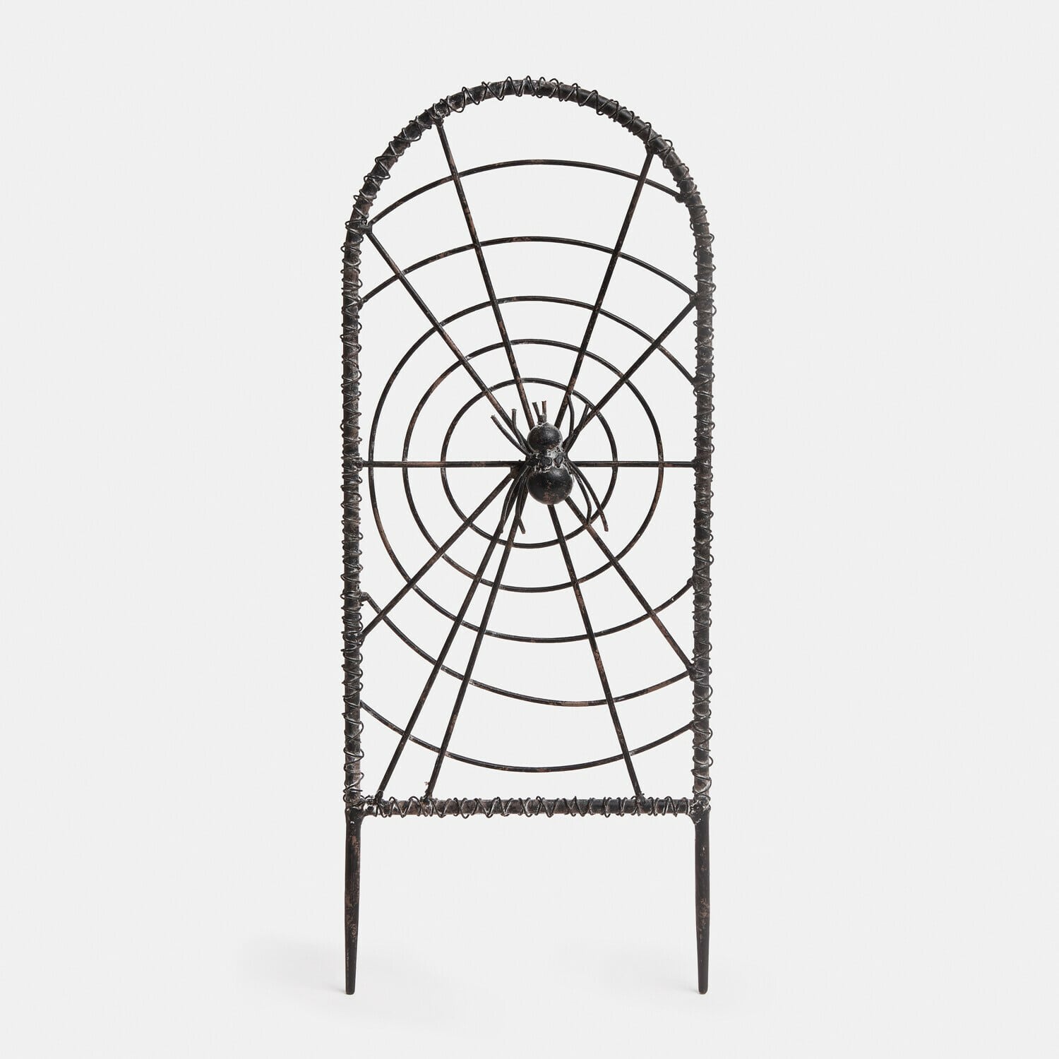 Rankgitter Brannora Schwarze Metall-Gartendekoration mit Spinnen- und Spinnennetzmotiv, Gartenornament