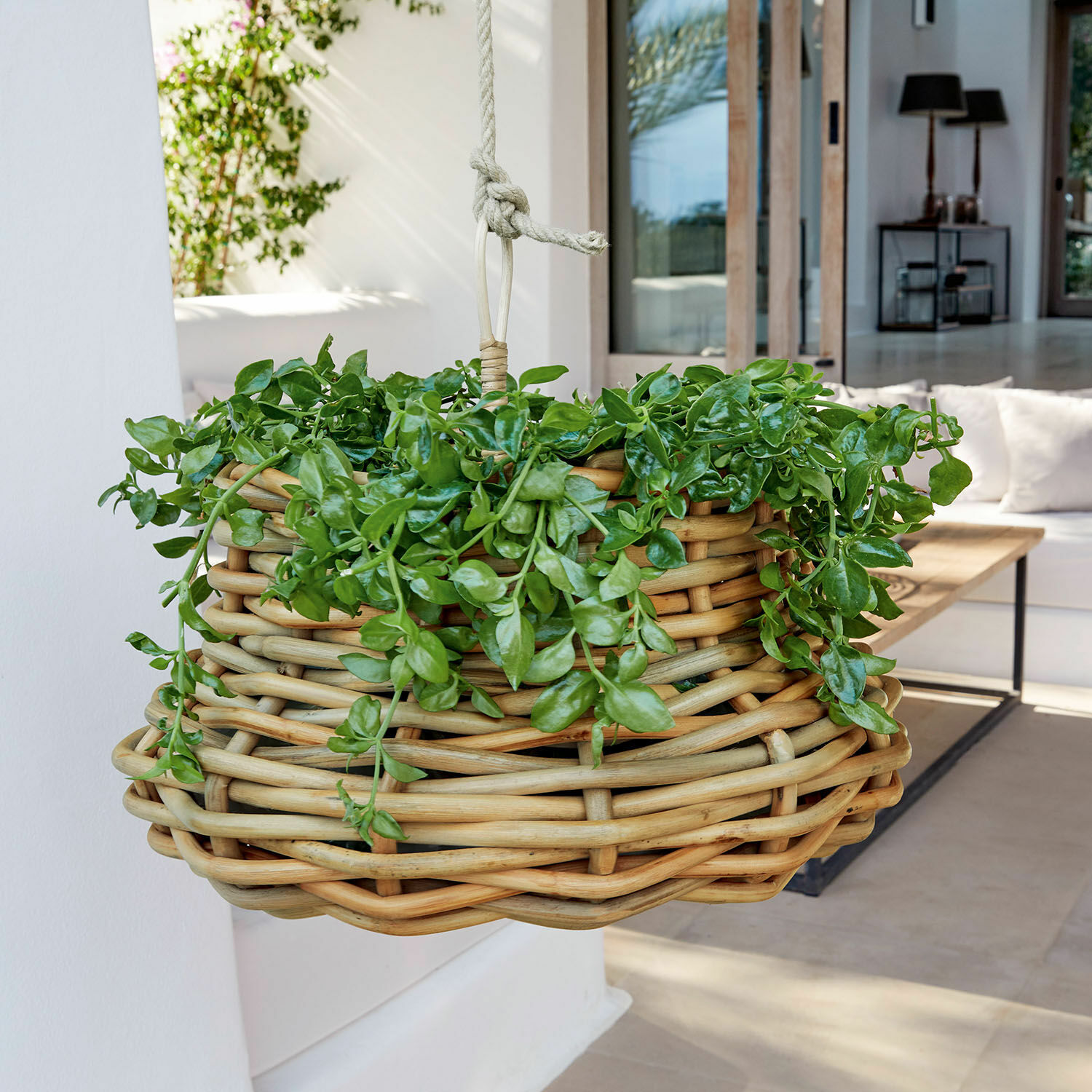 Hängekorb Villaz Hängender Korb aus natürlichem Rattan mit grünen Pflanzen zur Wohn- und Gartendekoration