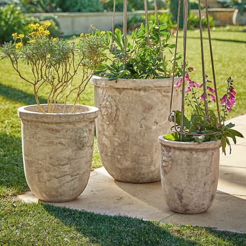 Drei graue Shabby-Chic-Zementblumentöpfe mit Pflanzen im Garten auf Terrasse