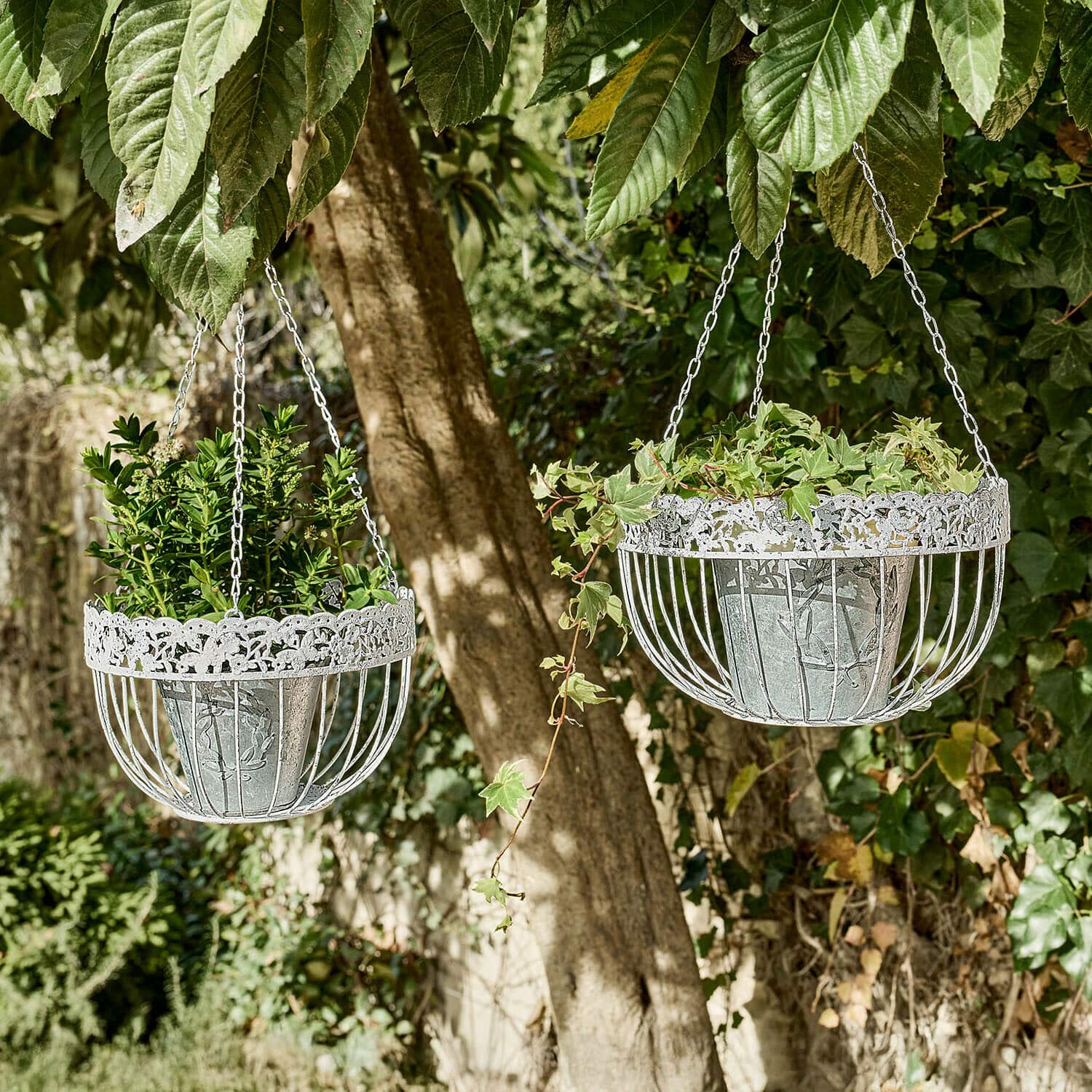 Hängekorb 2er Set Iveralia Zwei weiße Metall-Hängekörbe mit grünen Pflanzen, hängend an einem Baum im Garten