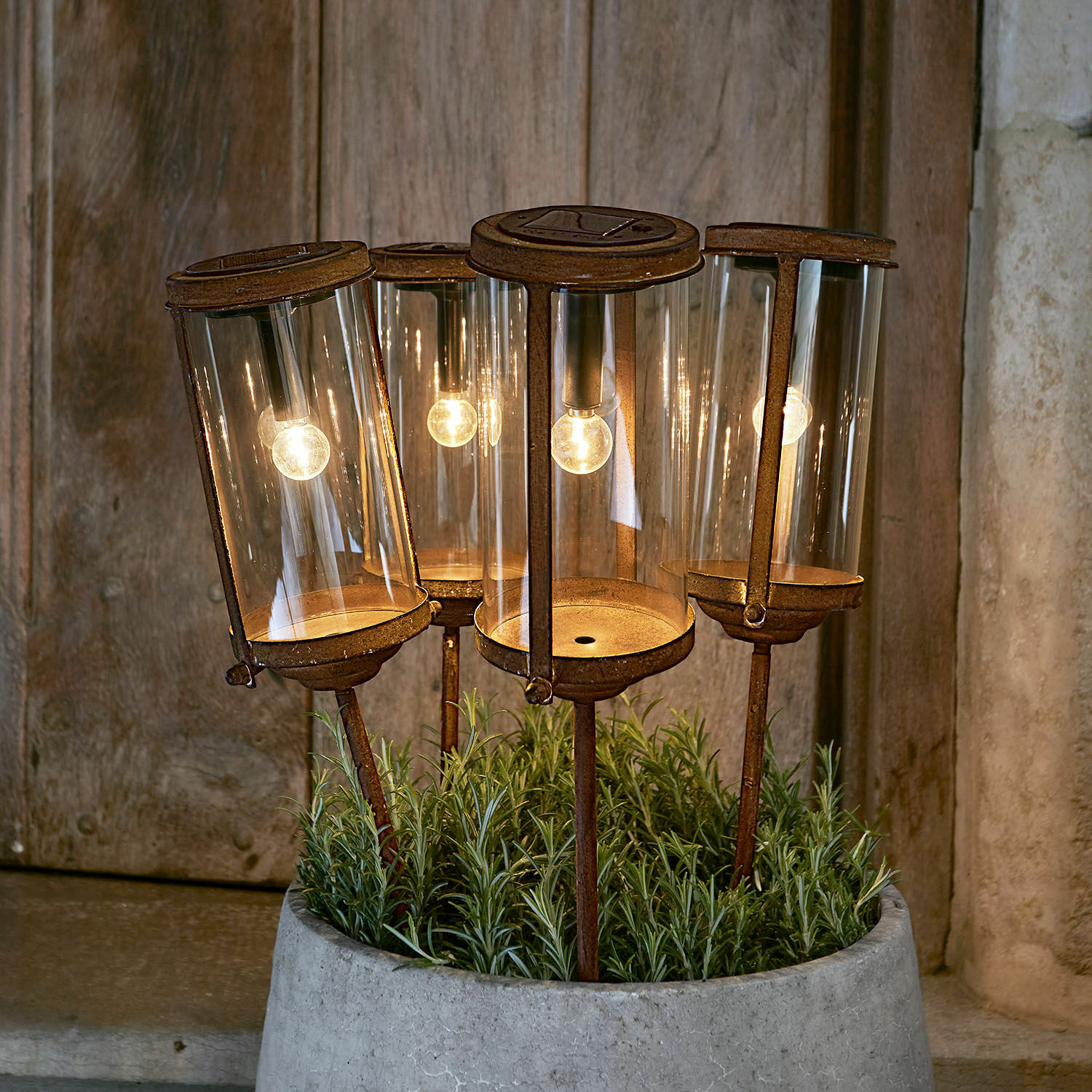 Solar-Laterne Mynesto Vier rostige Gartenlampen mit Glasgehäuse und warmem LED-Licht in einem Betontopf arrangiert