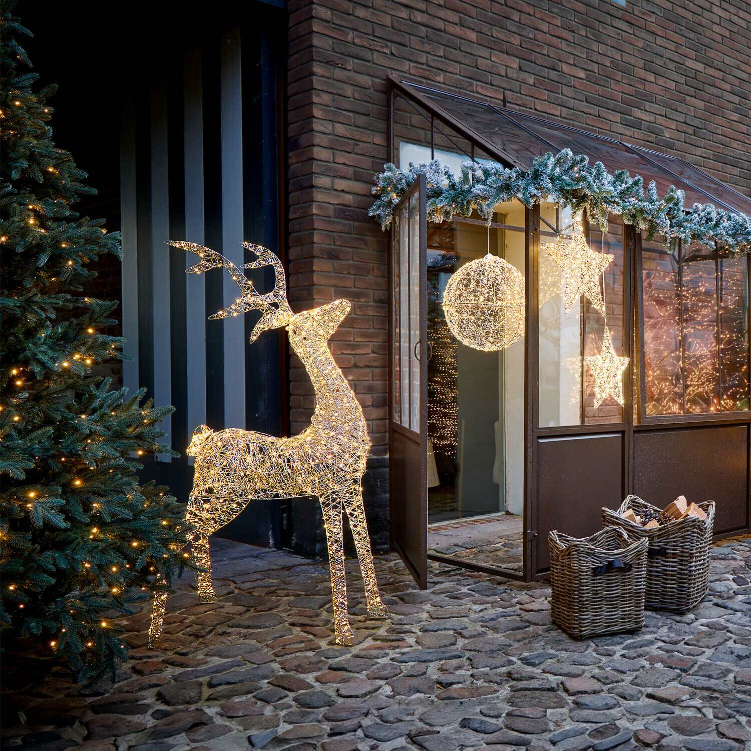 LED-Hirsch Elanari