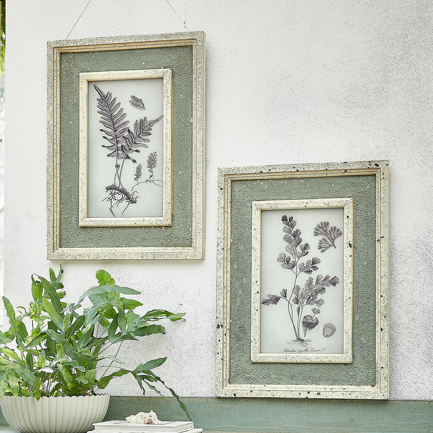 Bild 2er Set Cerilav Zwei grüne Wandrahmen mit botanischen Zeichnungen und Struktur an weißer Wand im Vintage-Stil
