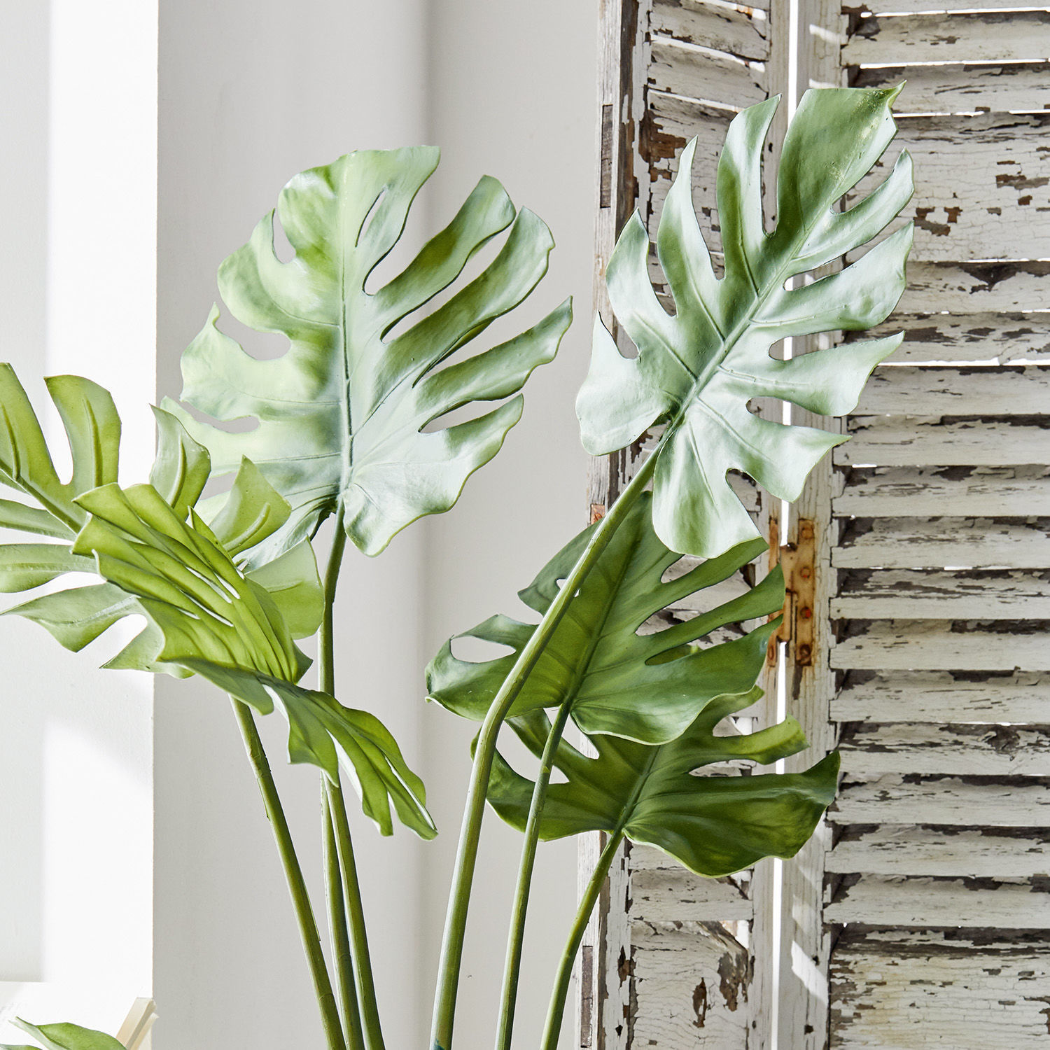 Dekopflanze Monstera