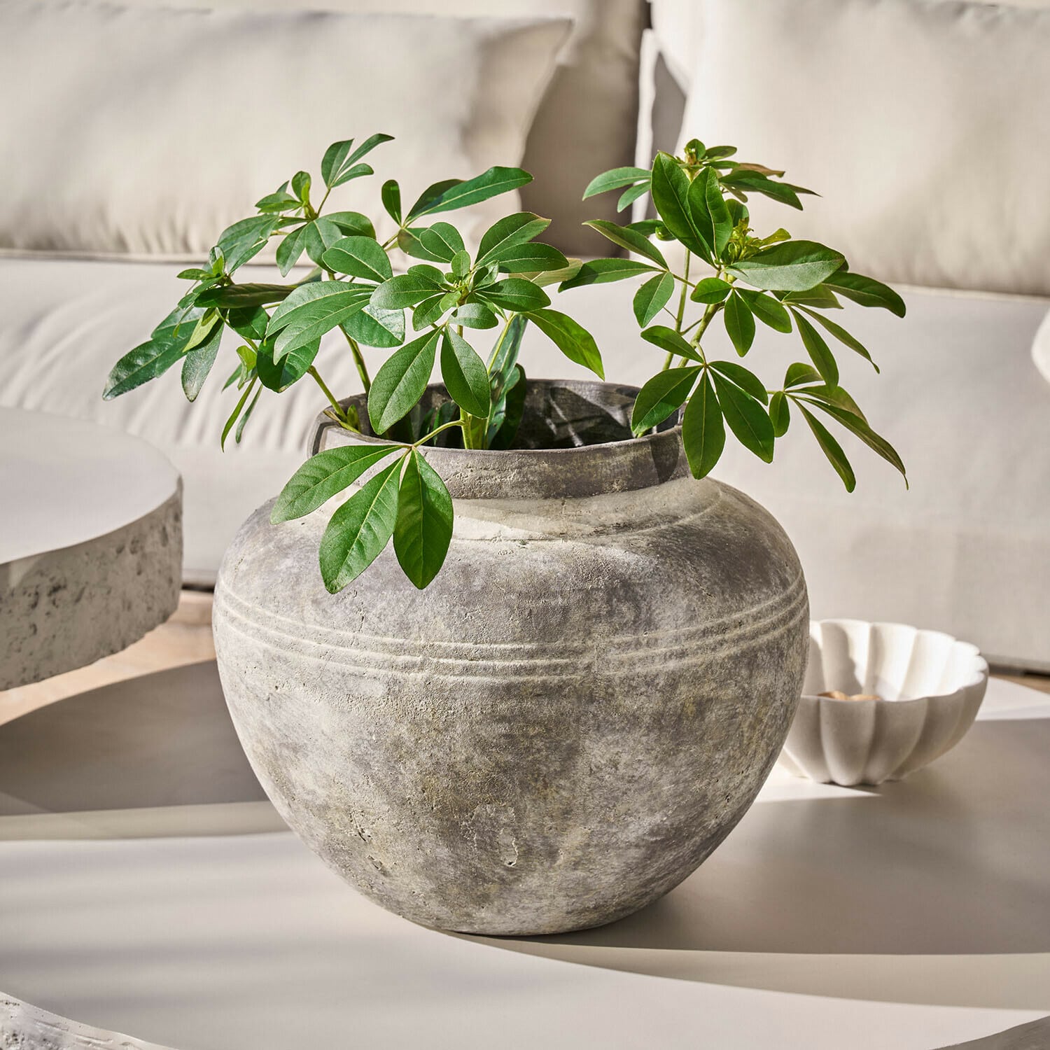 Vase Haldoríe Runde graue Steinvase mit grünen Blättern auf hellem Tisch in modernem Raum