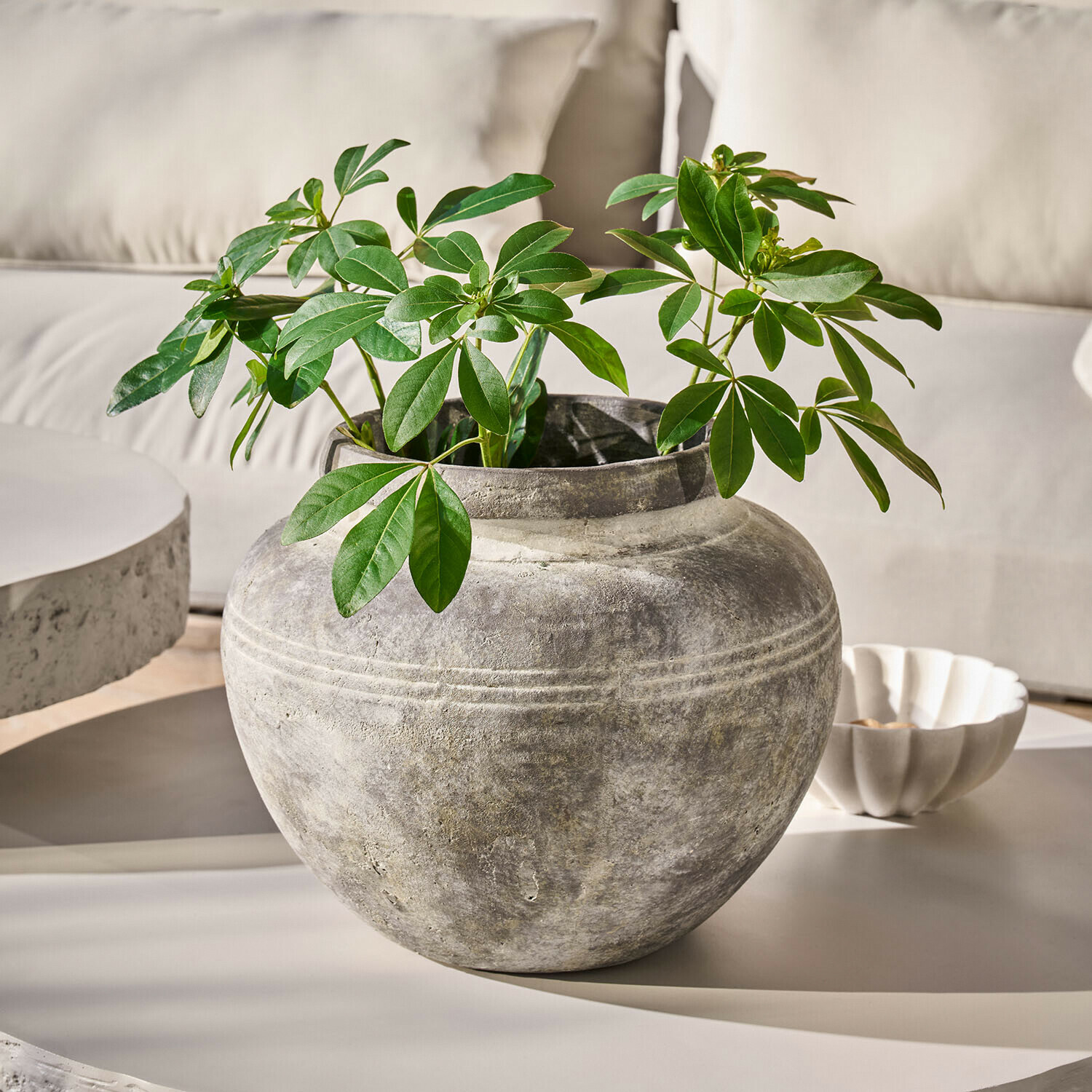 Vase Haldoríe Runde graue Steinvase mit grünen Blättern auf hellem Tisch in modernem Raum