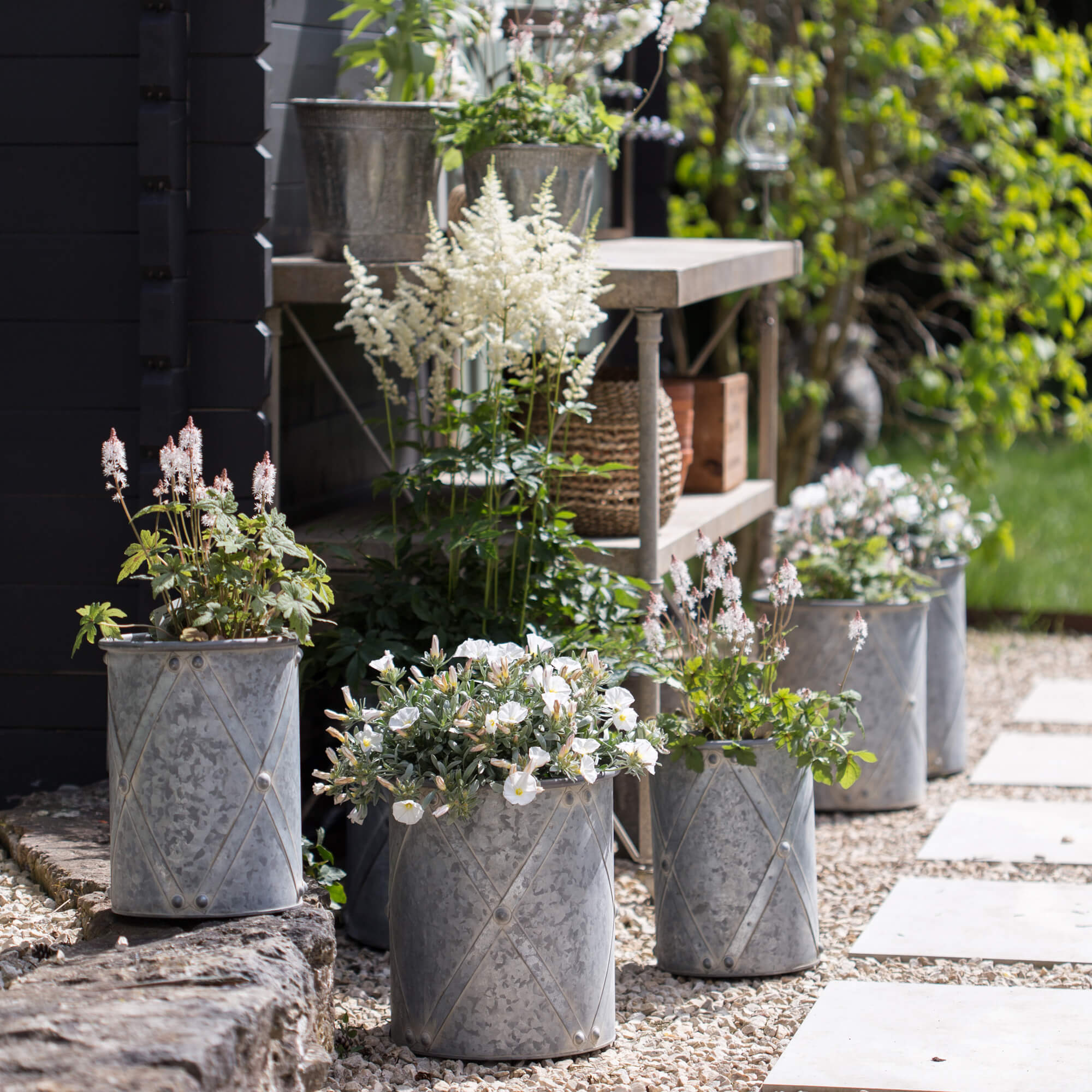 Graue Metallblumentöpfe mit weißen Blumen auf steinigem Boden im Garten arrangiert