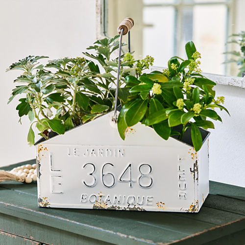 Weißer Metallbehälter mit Griff und Pflanzen, Dekoration für Haus und Garten