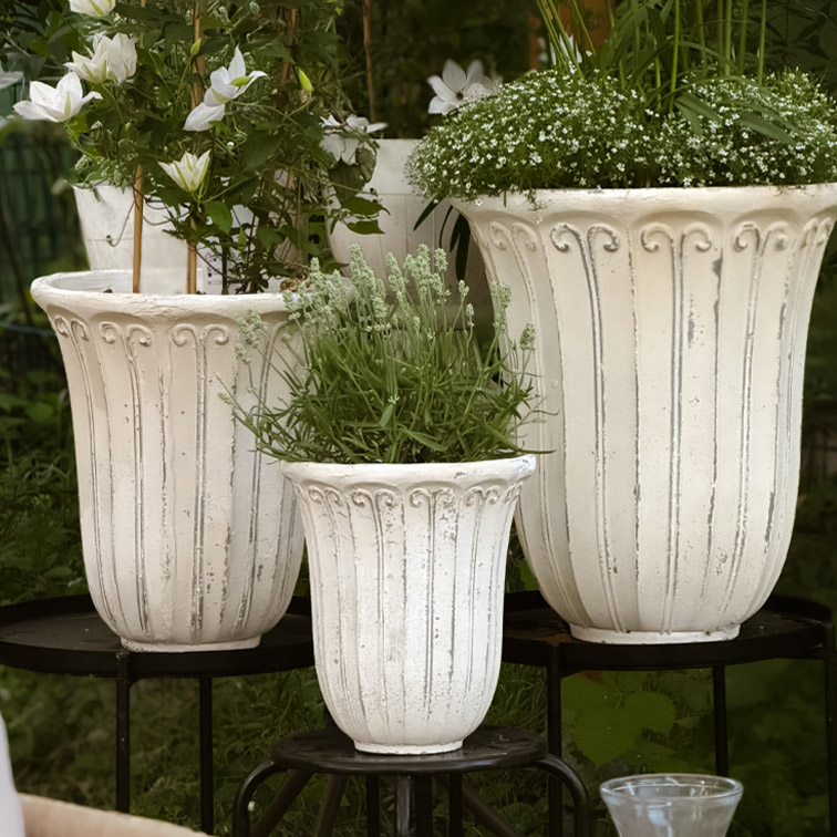 Drei weiße Pflanzgefäße aus Stein mit dekorativem Muster, bepflanzt mit Gartenpflanzen