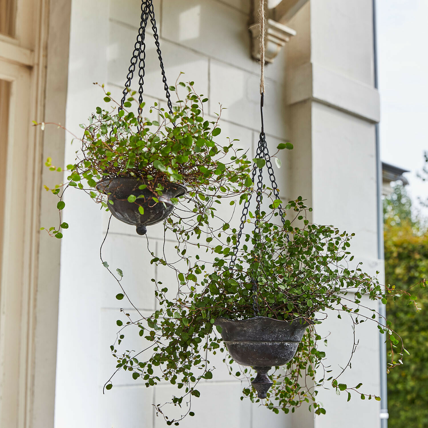Hängetopf 2er Set Trelonne Hängende Metallpflanzgefäße im Vintage-Stil mit grünen Pflanzen, Gartendeko und Terrassenaccessoire