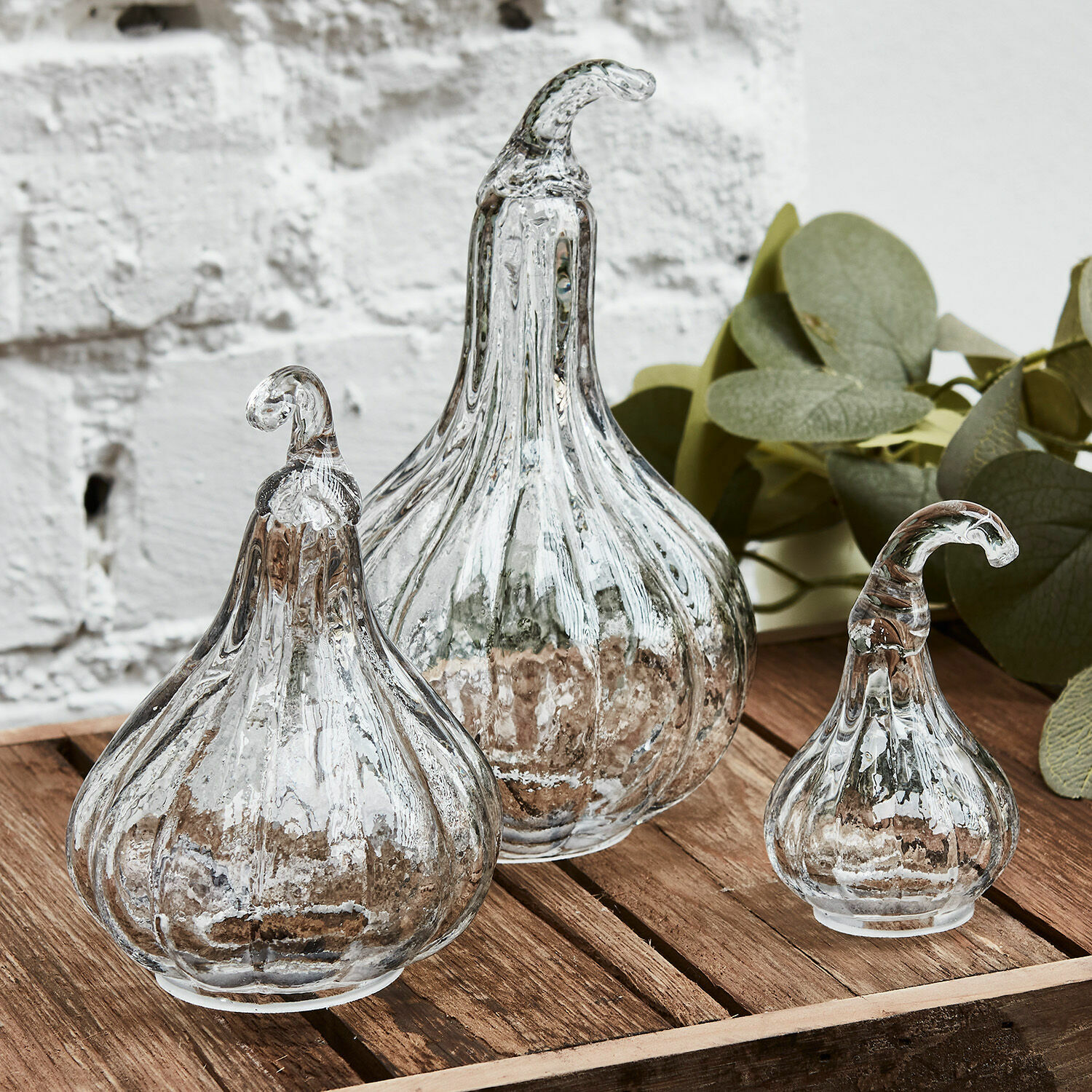 Kürbis 3er Set Lacey Set aus drei dekorativen durchsichtigen Glas-Kürbissen auf Holztisch, Wohnaccessoire