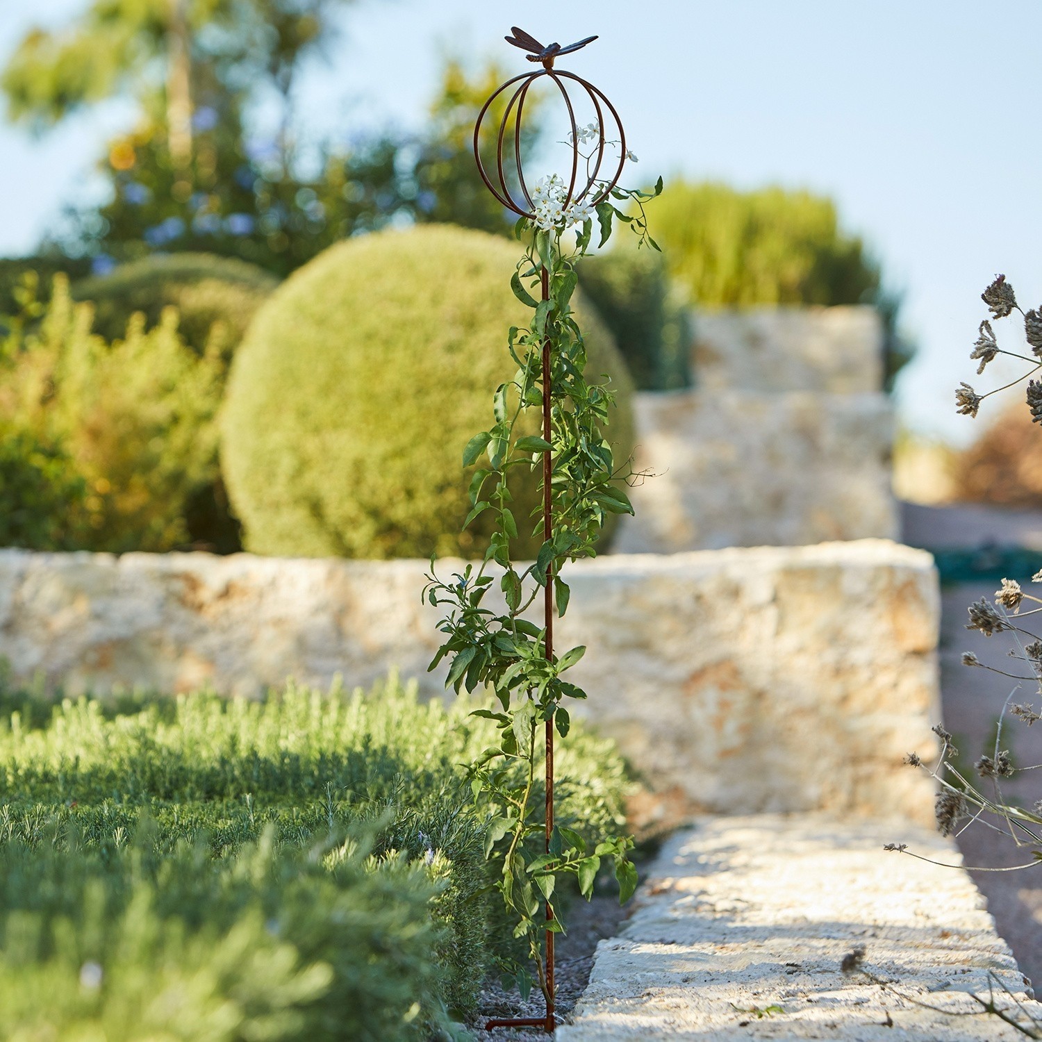 Gartenstab Libelle Metall-Pflanzenstütze in Rostoptik mit Schmetterling, dekorativer Kletterpflanzenhalter für Garten