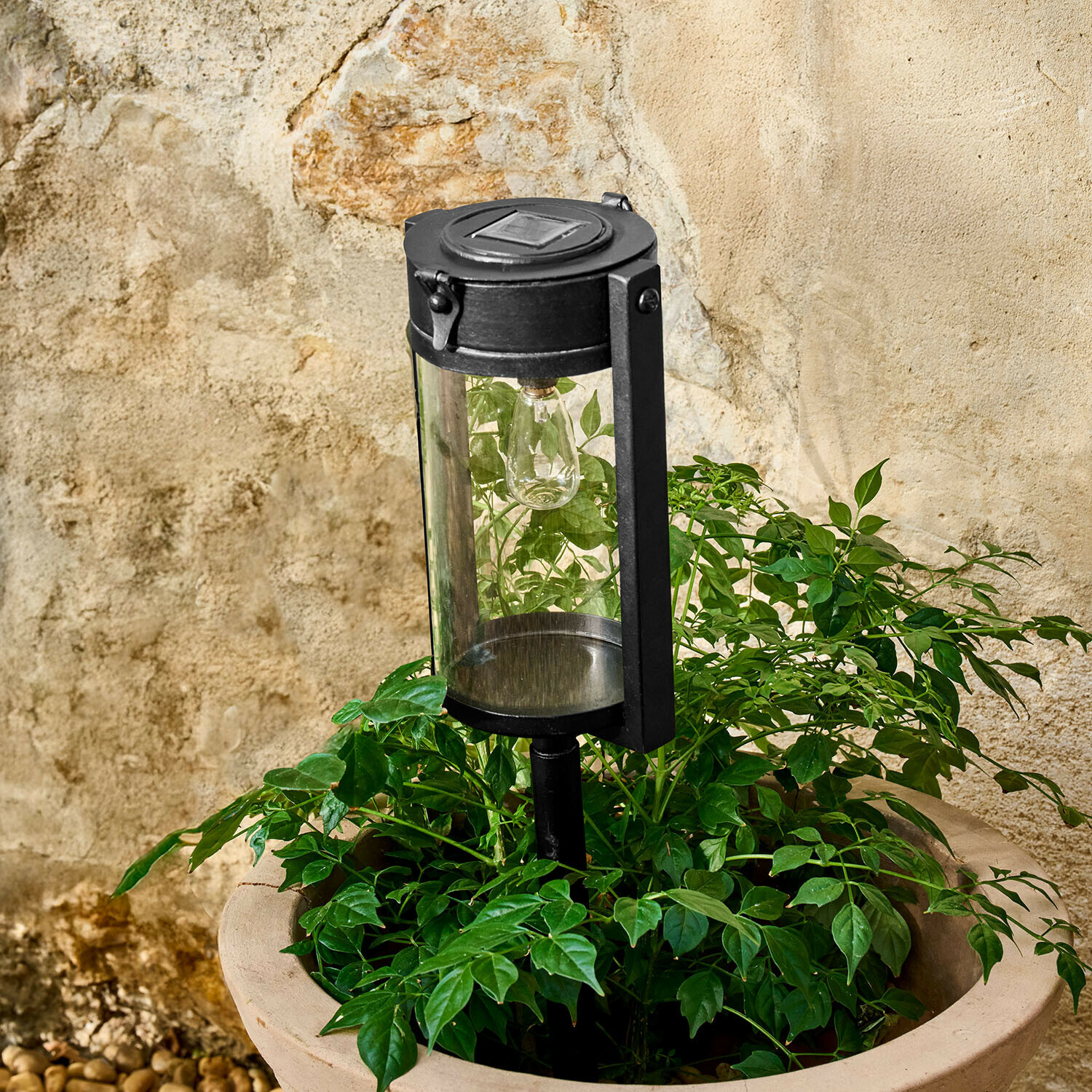 Schwarze Metall-Gartenlampe mit klarem Glas umgeben von grünen Blättern vor einer Steinwand