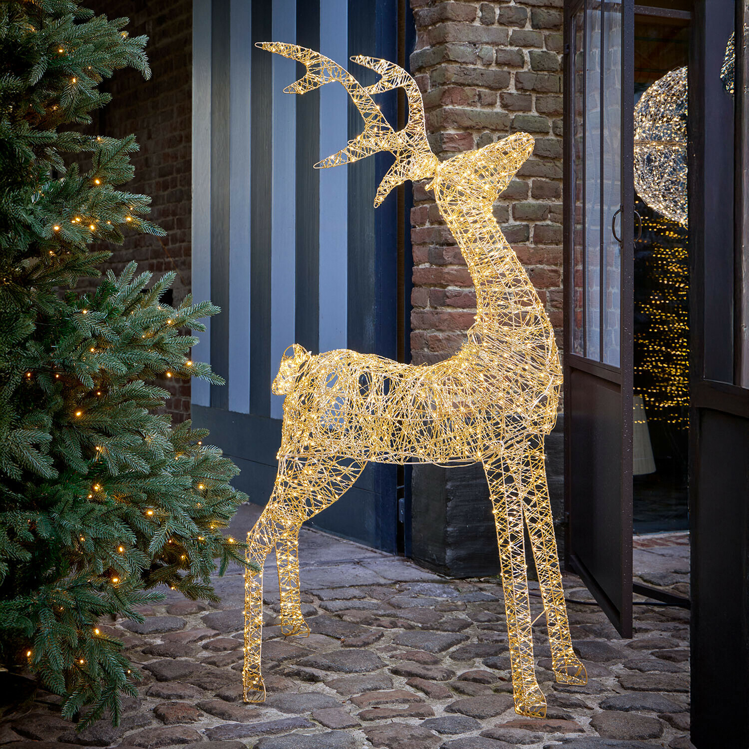 LED-Hirsch Elanari