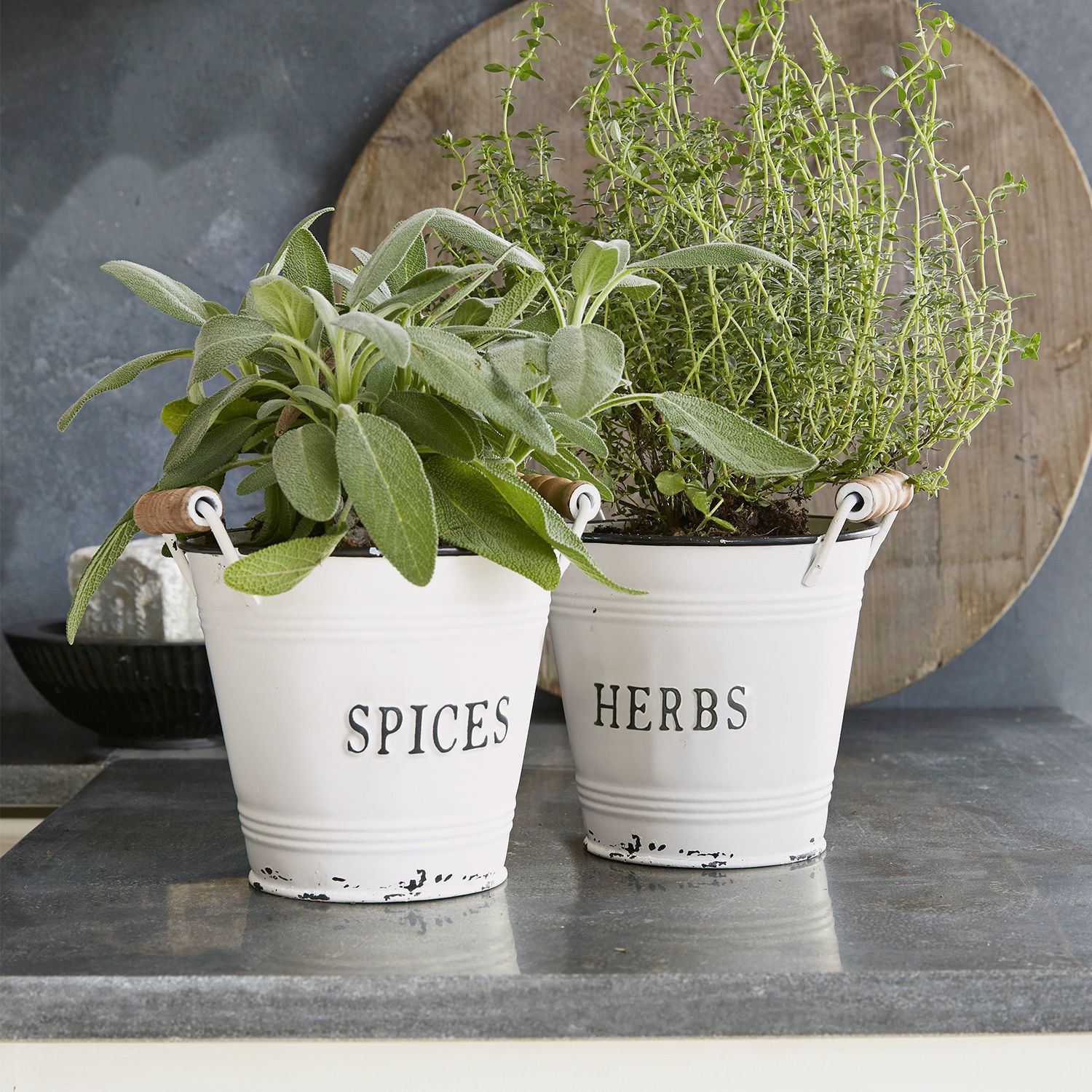 Übertopf 2er Set Trevis Weiße Metalltöpfe mit Aufschrift Spices und Herbs mit grünen Kräutern auf Küchenarbeitsplatte