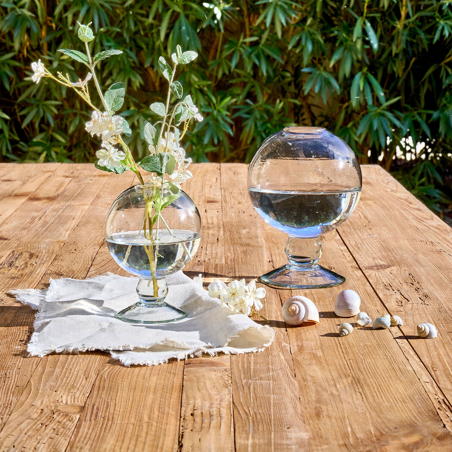 Vase 2er Set Novalio Transparente Glaskugeln mit Wasser, eine mit Blumen, auf Holztisch mit Muscheln dekoriert
