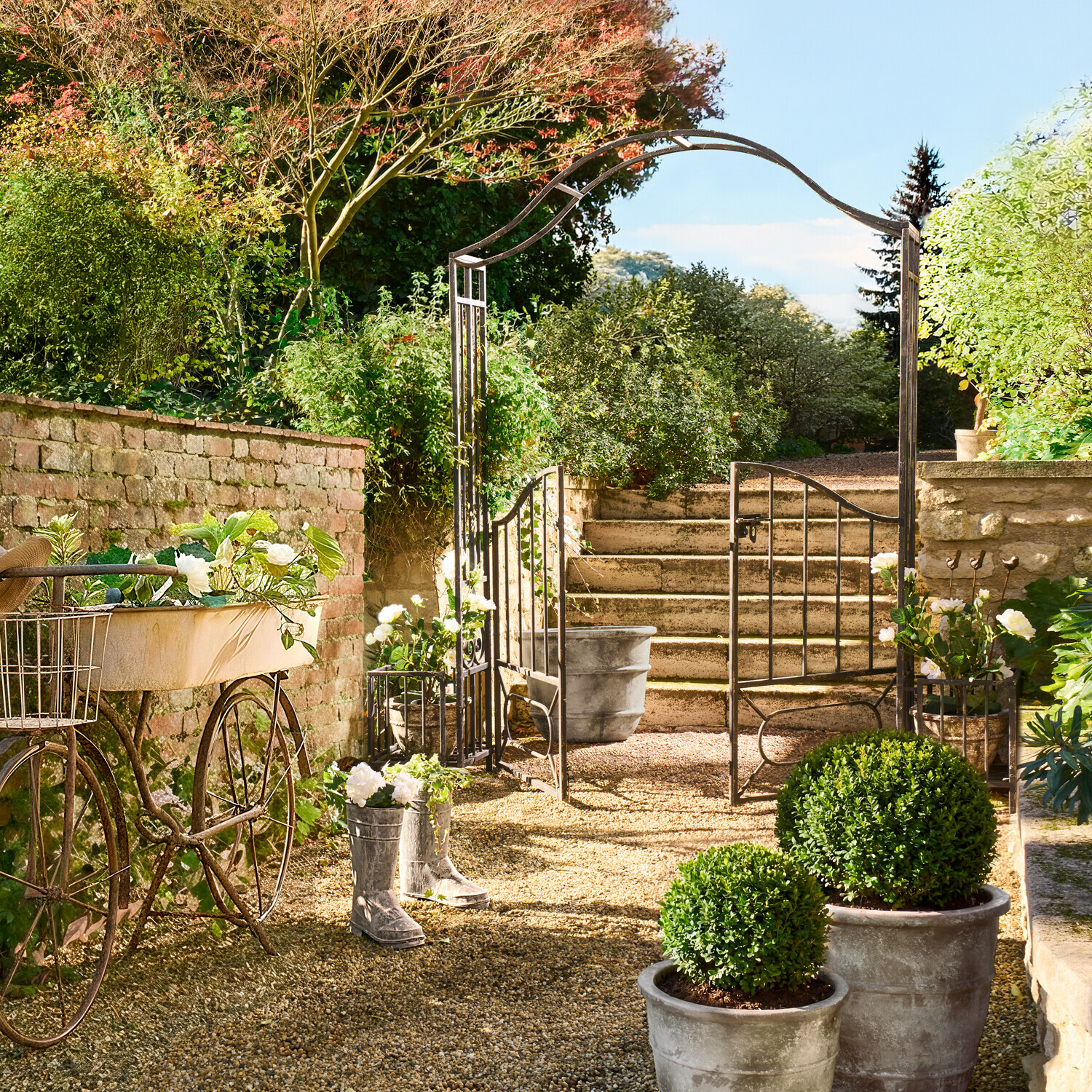 Rosenbogen Donnérie