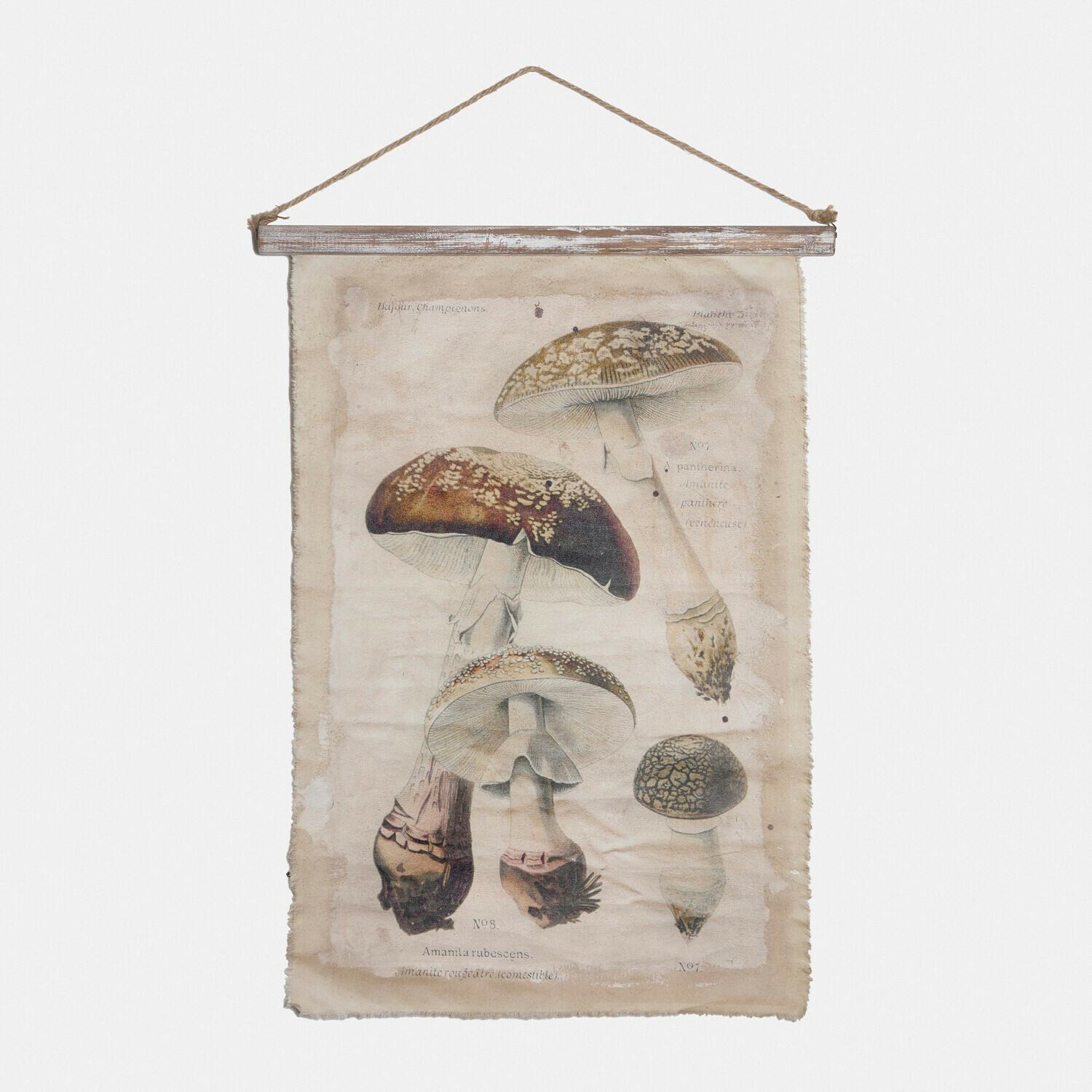 Bild Rynmor Hängendes Leinwandbild mit vintage Pilz-Illustration, natürliche Wanddekoration für Zuhause