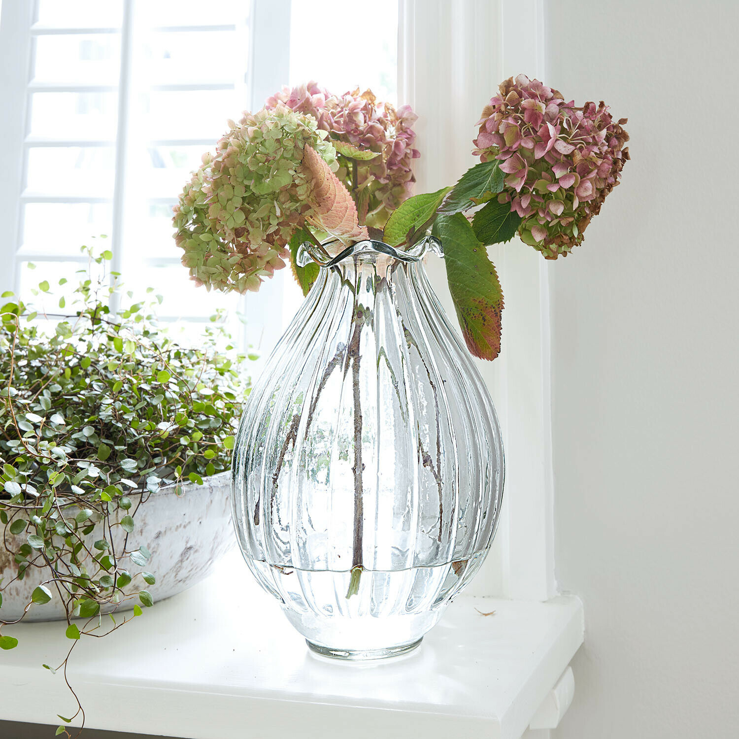 Transparente gerippte Glasvase mit rosa und grünen Hortensien auf weißem Fensterbrett